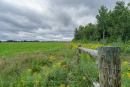 DSC01219.jpg