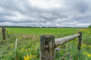 DSC01220.jpg