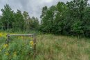 DSC01221.jpg