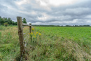 DSC01223.jpg