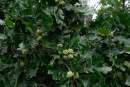 DSC01224.jpg