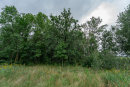 DSC01225.jpg