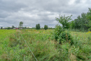 DSC01228.jpg