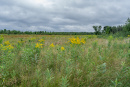 DSC01230.jpg