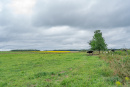 DSC01232.jpg