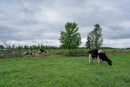 DSC01234.jpg