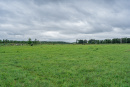 DSC01235.jpg