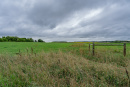 DSC01236.jpg