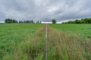 DSC01238.jpg