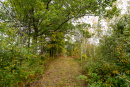 DSC01338.jpg