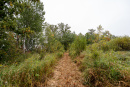 DSC01341.jpg