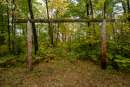 DSC01342.jpg