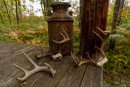 DSC01345.jpg