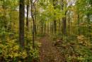 DSC01352.jpg