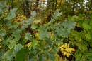 DSC01356.jpg