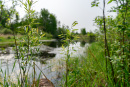 DSC01361.jpg