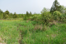DSC01362.jpg