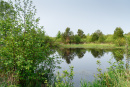 DSC01366.jpg