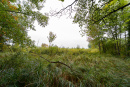 DSC01368.jpg