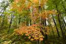 DSC01371_1.jpg
