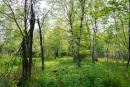 DSC01371.jpg