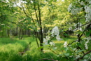 DSC01372.jpg