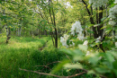 DSC01373.jpg