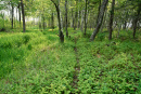 DSC01374.jpg