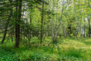 DSC01375.jpg