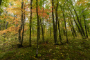 DSC01376.jpg