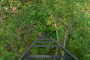 DSC01378.jpg