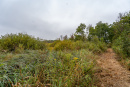 DSC01379_1.jpg