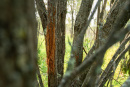 DSC01379.jpg