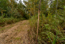 DSC01382.jpg