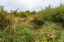 DSC01384_1.jpg