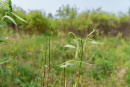 DSC01384.jpg