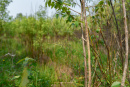 DSC01386.jpg