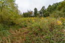 DSC01388.jpg