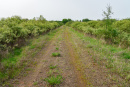 DSC01393.jpg