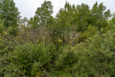 DSC01395_1.jpg