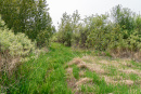 DSC01395.jpg