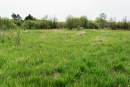 DSC01396.jpg