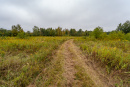 DSC01399_1.jpg