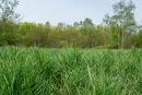 DSC01399.jpg