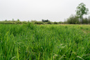 DSC01401.jpg