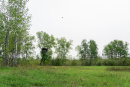 DSC01407.jpg