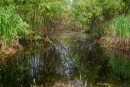 DSC01414.jpg
