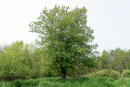 DSC01415.jpg