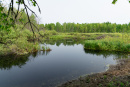 DSC01416.jpg