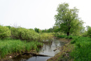 DSC01420.jpg